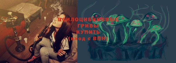 прущие грибы Алексин