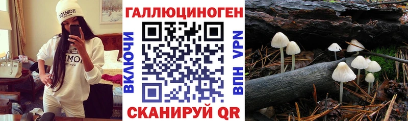Галлюциногенные грибы Magic Shrooms  Лагань 